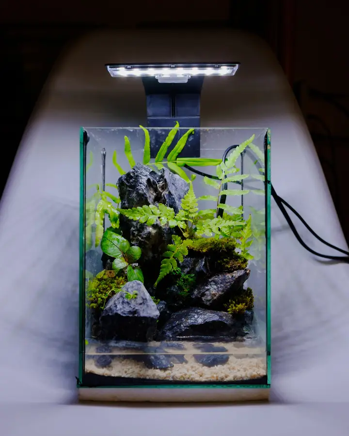 Nano ridge 30 cube