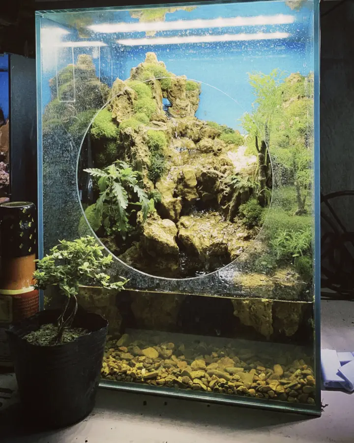 Riverbed 90 iwagumi