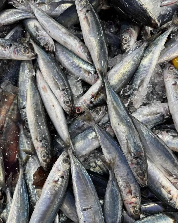 Kerala sardines (mathi)