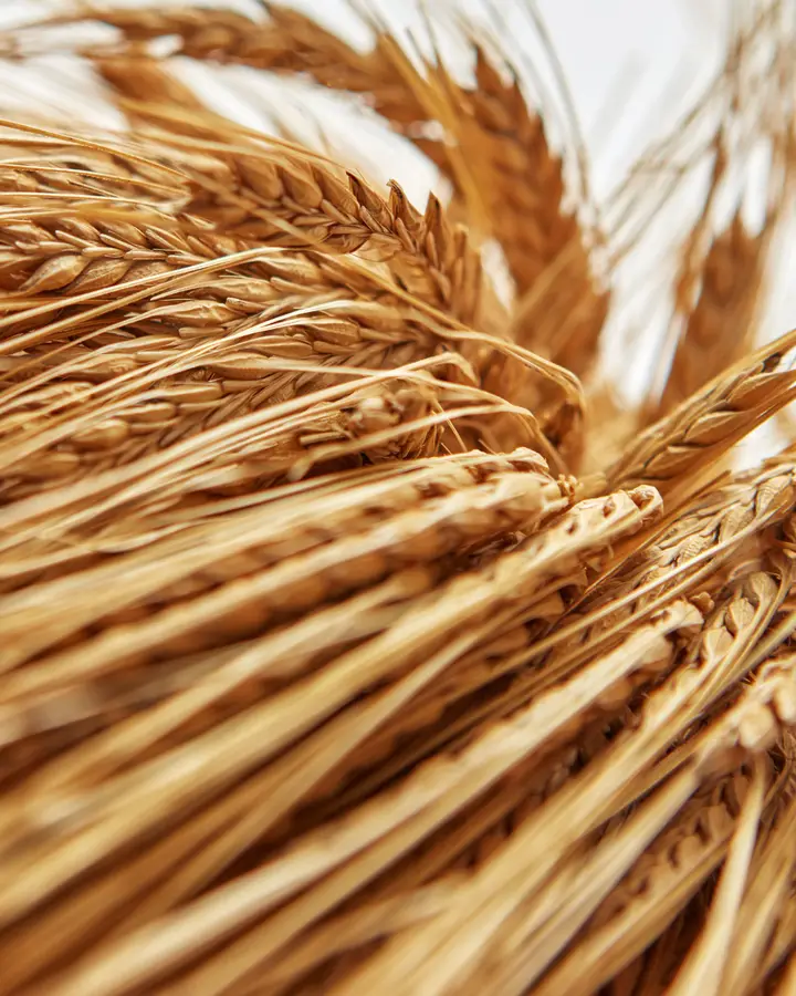 Khapli wheat atta, 2 kg