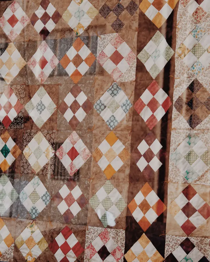 Bagru dabu quilt