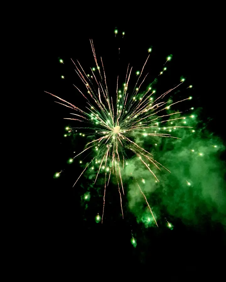 Green 30-shot, gold and green