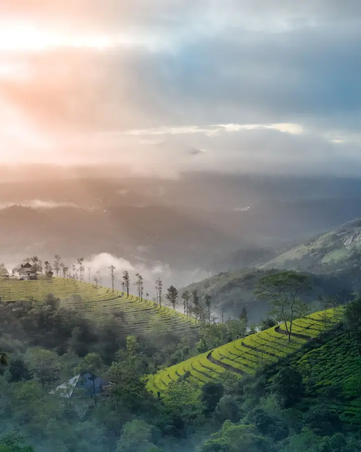 Sunrise viewpoint trip
