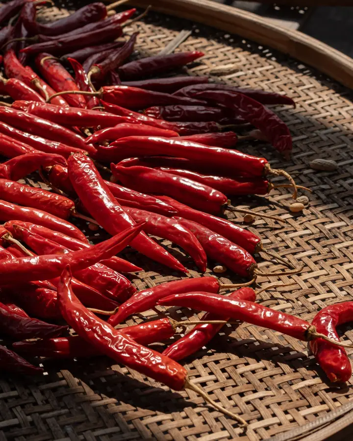 Guntur dried chillies