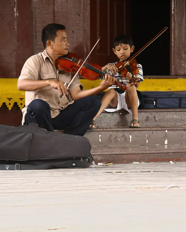 Carnatic violin