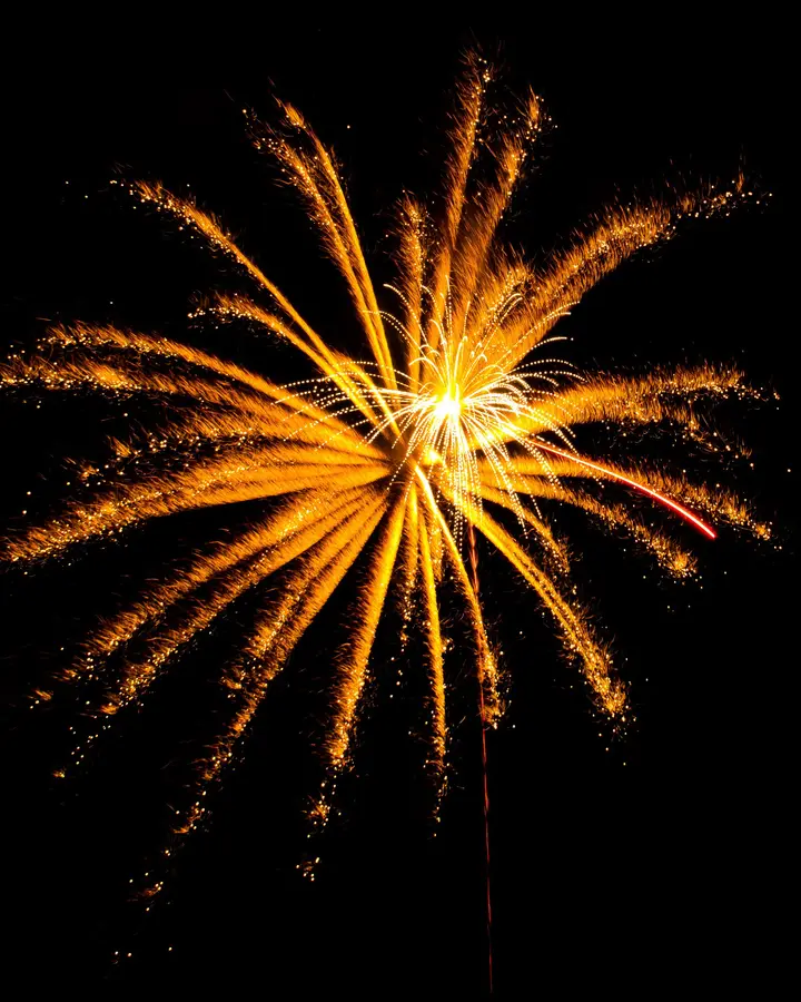 Gold crackling 12-shot