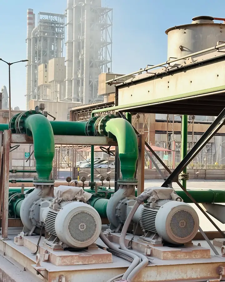 Pump and blower motors