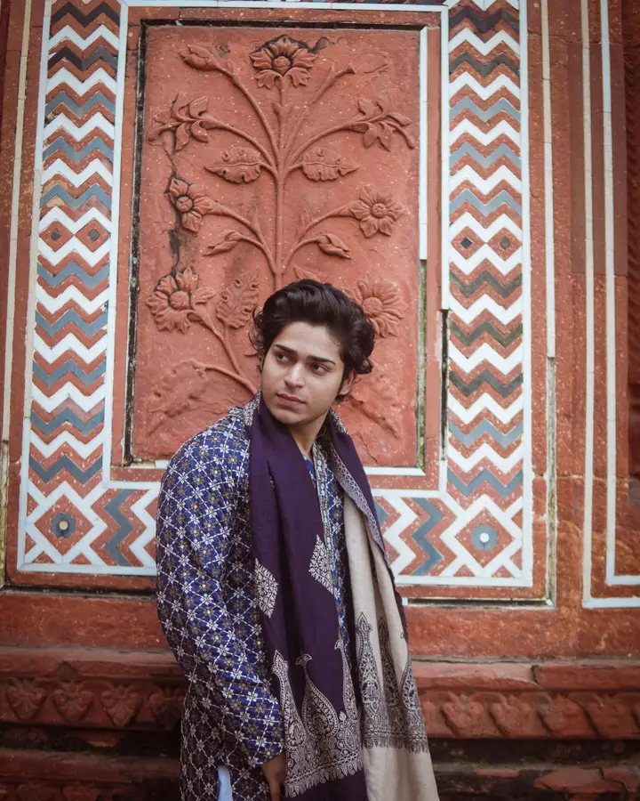 Sozni pashmina shawl