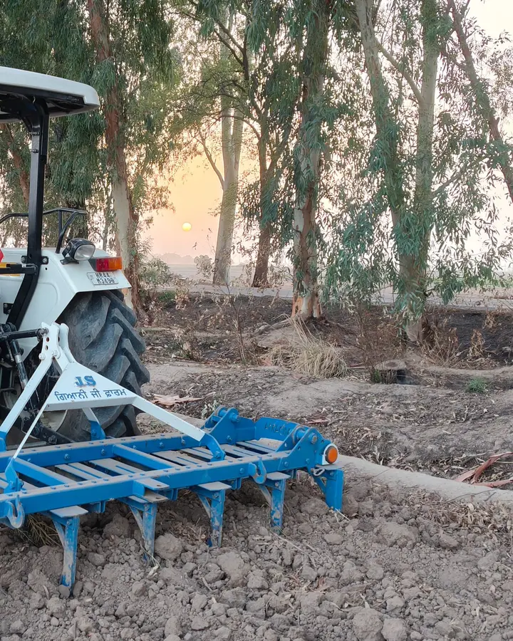 Spring-tine cultivator