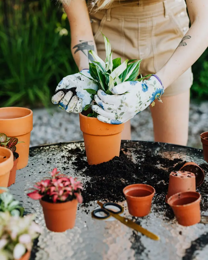 Repotting kit