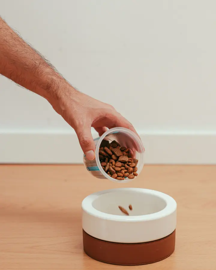 Two-tone ceramic bowl